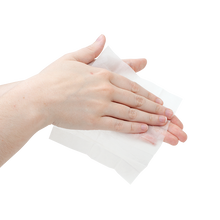 Load image into Gallery viewer, BZK Antiseptic Towelettes