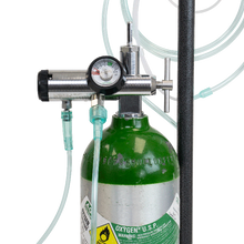 Load image into Gallery viewer, CGA 870 Oxygen Regulator - All Brass - 2-DISS Outlet - 0-25