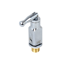 Load image into Gallery viewer, Toggle Valve