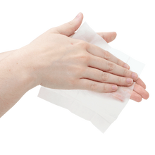 Load image into Gallery viewer, BZK Antiseptic Towelettes
